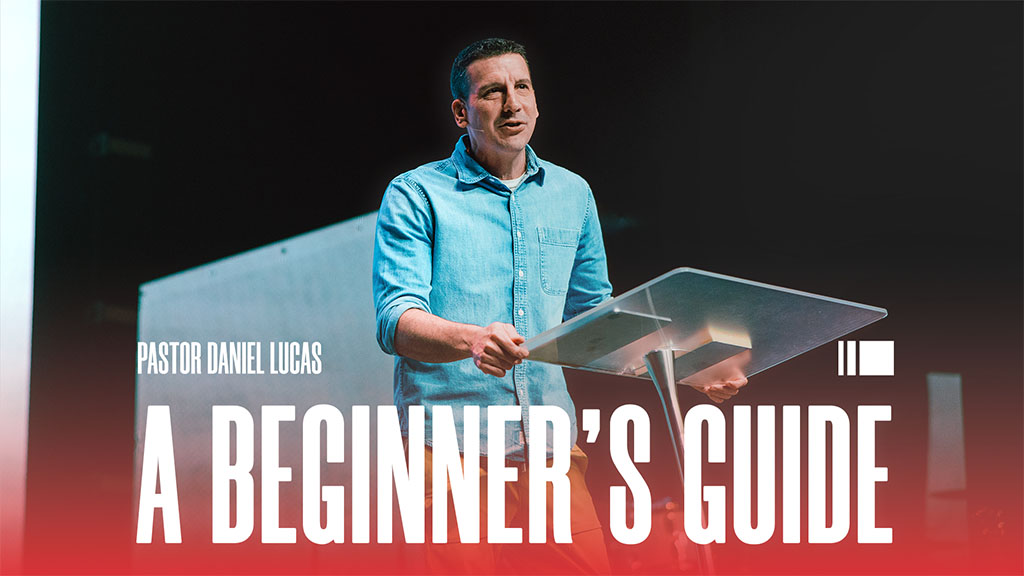 A Beginner's Guide